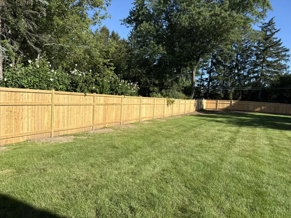 Reliable yard cleanup service for beautiful yards across Burbank, IL - Cande Native Landscape