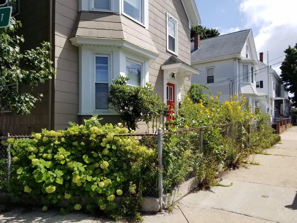 Reliable yard cleanup service in Salem, MA by Candela's General Labor