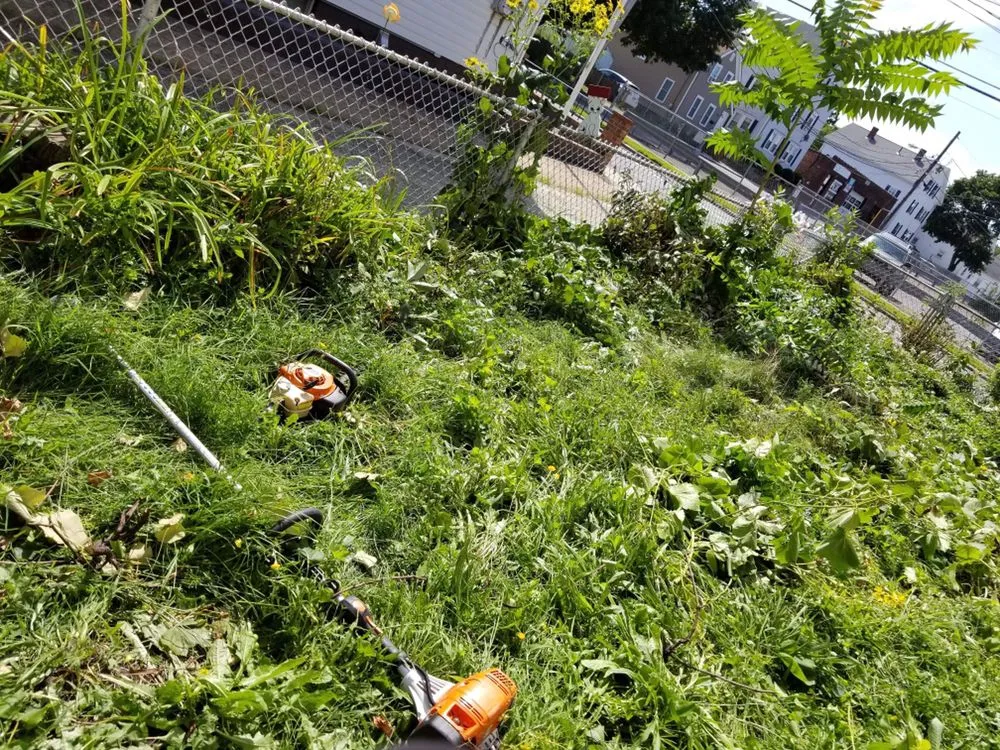 Reliable yard cleanup service with custom design across Salem, MA - Candela's General Labor