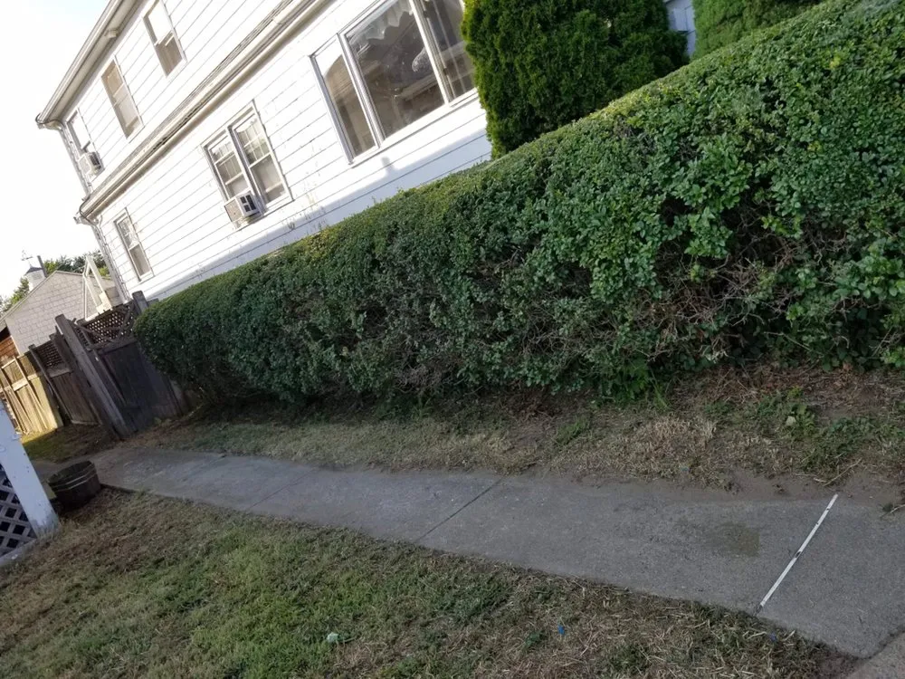 Reliable landscape design experts serving Salem, MA - Candela's General Labor