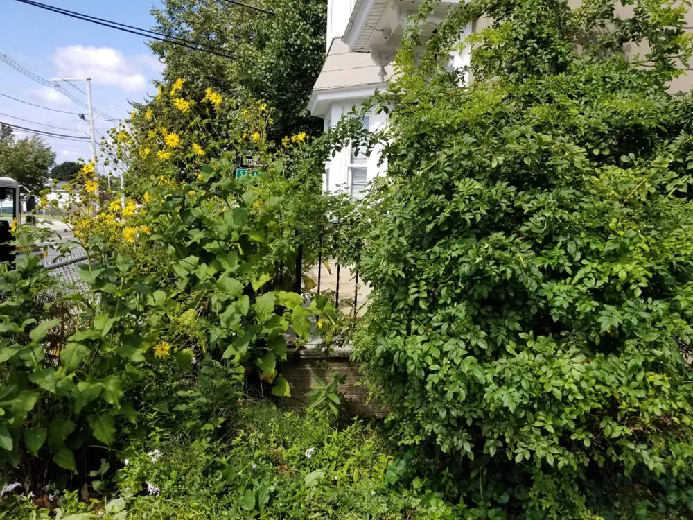 Top-rated landscape installation for outdoor upgrades in Salem, MA by Candela's General Labor