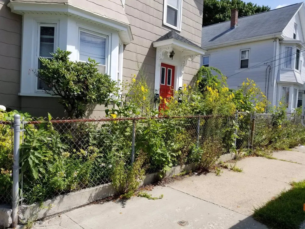 Local yard maintenance for year-round maintenance in Salem, MA by Candela's General Labor