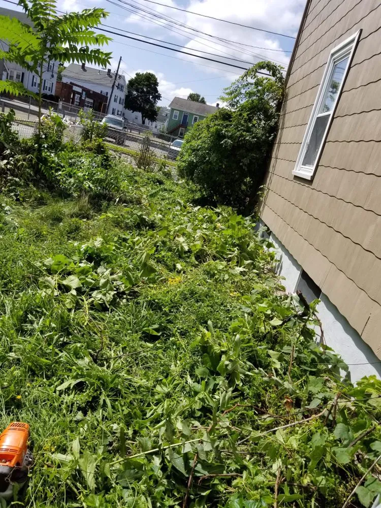 Expert lawn mowing service for residential properties in Salem, MA by Candela's General Labor