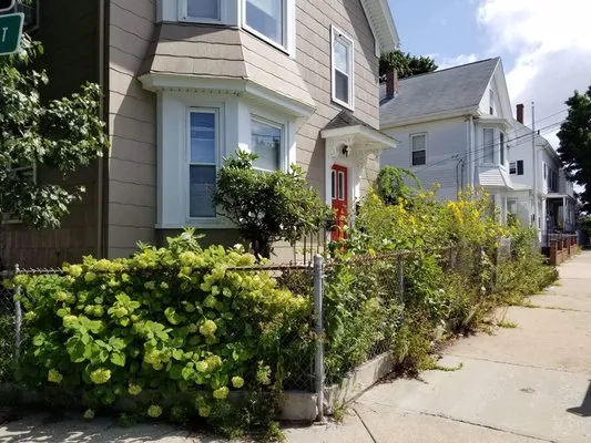 Candela's General Labor Logo