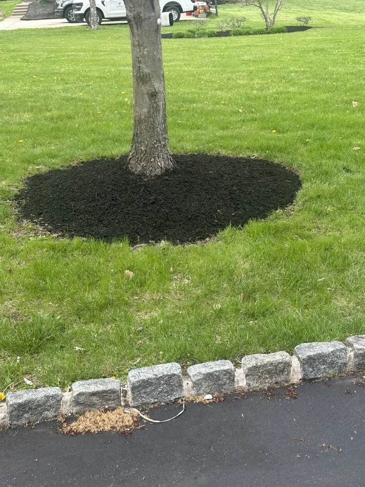 Custom yard maintenance experts serving Eagleville, PA - Candia Landscaping