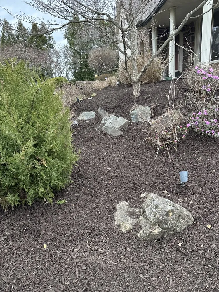 Expert lawn care service in Eagleville, PA - Candia Landscaping