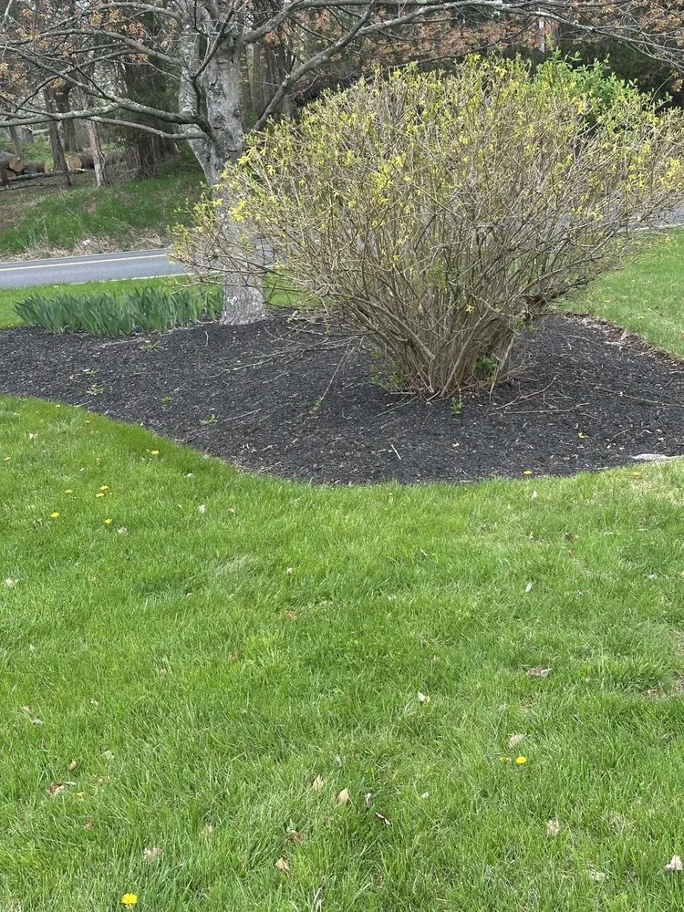 Trusted yard maintenance in Eagleville, PA by Candia Landscaping