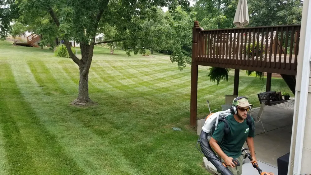 Professional yard cleanup service in St. Charles, MO - Candid Land Maintenance