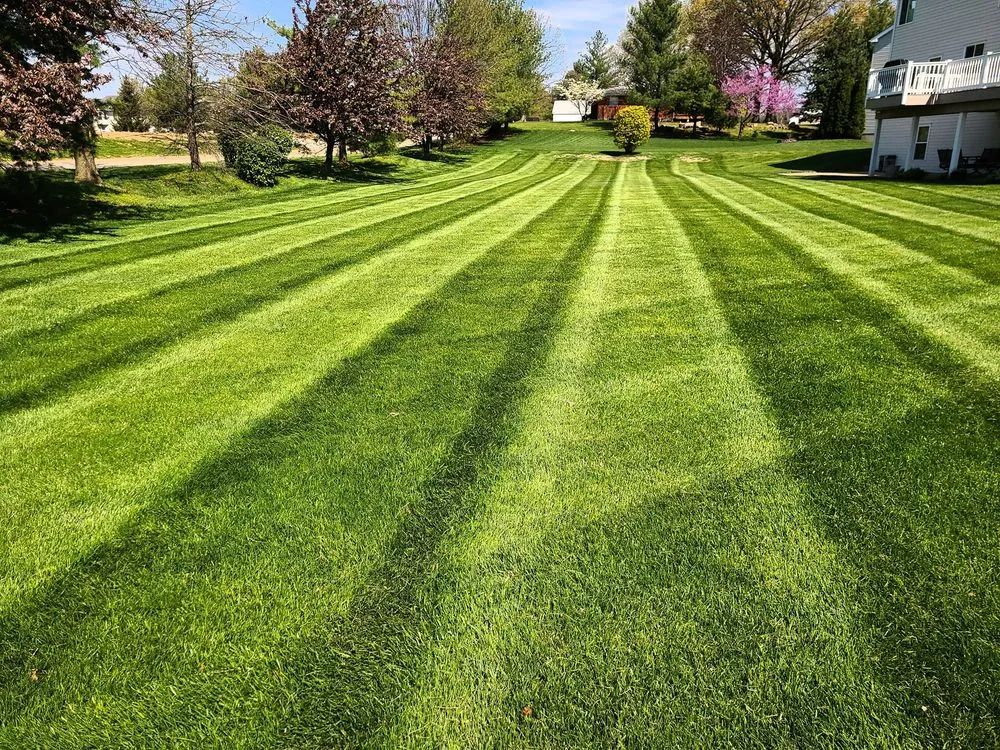 Affordable residential landscaping experts serving St. Charles, MO - Candid Land Maintenance