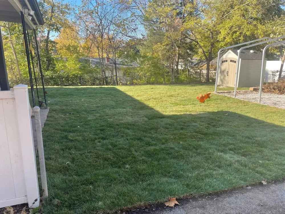 Trusted yard maintenance in St. Charles, MO - Candid Land Maintenance