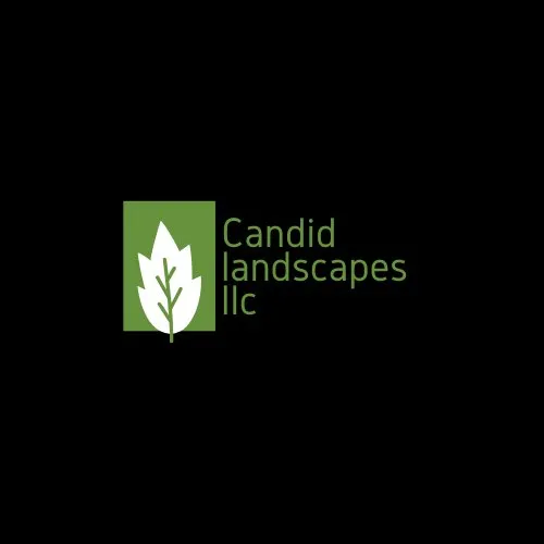 Reliable landscape design for residential properties in Starke, FL by Candid Landscapes