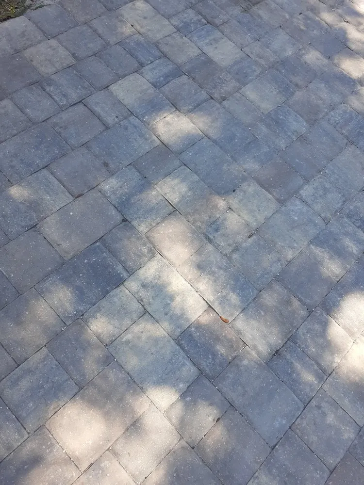 Expert lawn care service in Starke, FL by Candid Landscapes