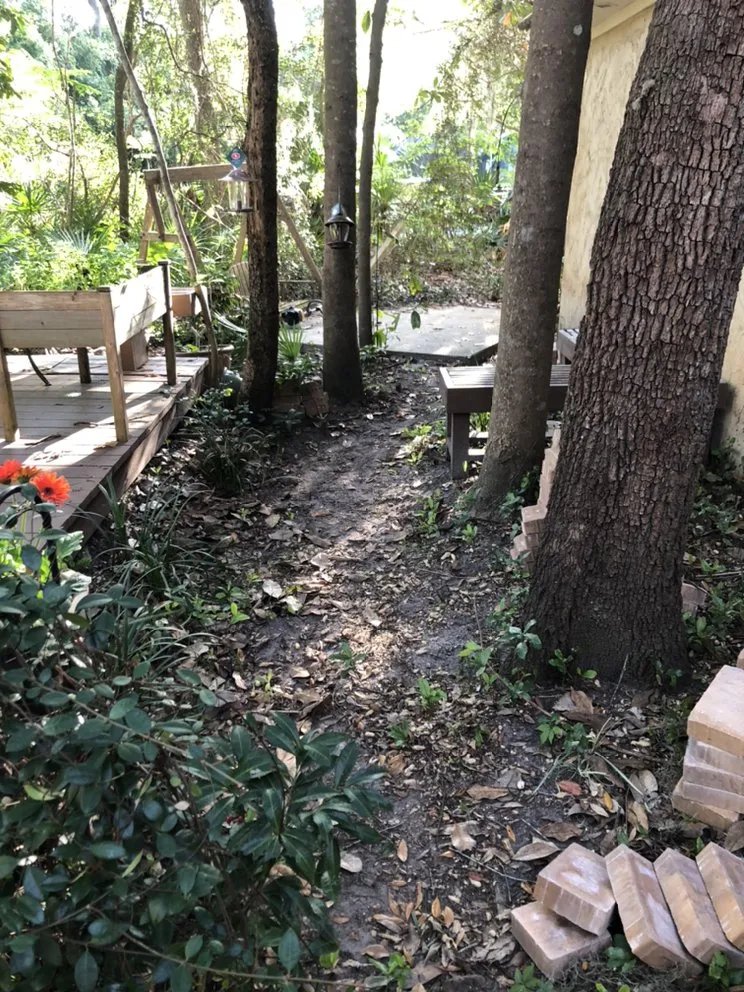 Local yard cleanup service in Starke, FL - Candid Landscapes