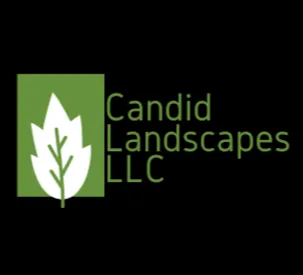 Trusted lawn care service for outdoor upgrades in Starke, FL by Candid Landscapes