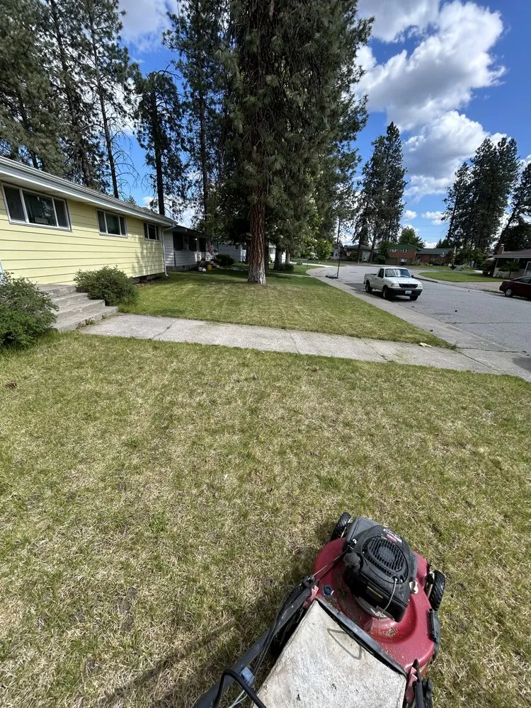Trusted yard cleanup service for beautiful yards across Spokane, WA - Candid Lawn Care