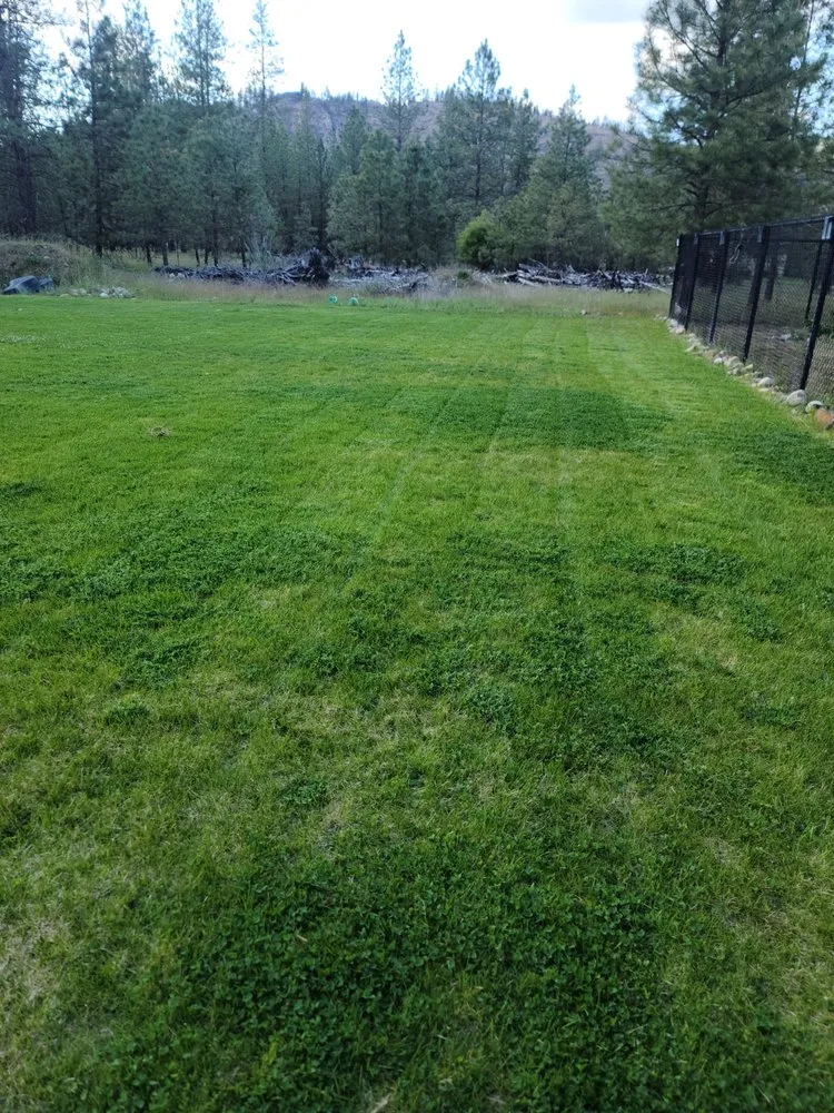 Professional landscape installation in Spokane, WA - Candid Lawn Care