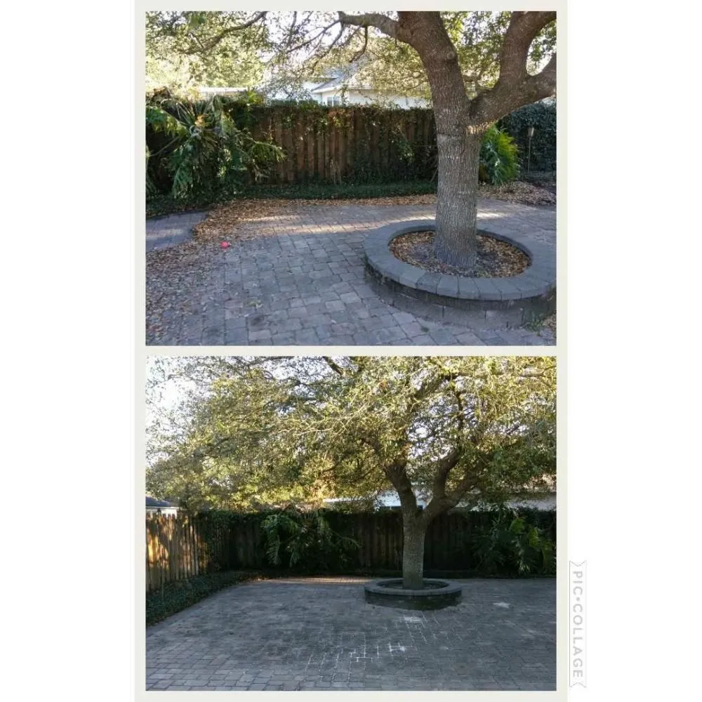 Local garden landscaping in Jacksonville, FL - Candler lawn Service