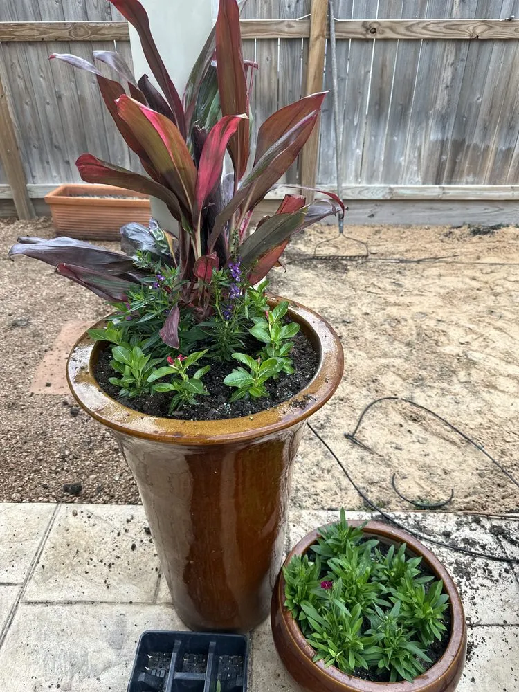 Reliable outdoor landscaping in Cypress, TX by Candlewood Landscaping Services