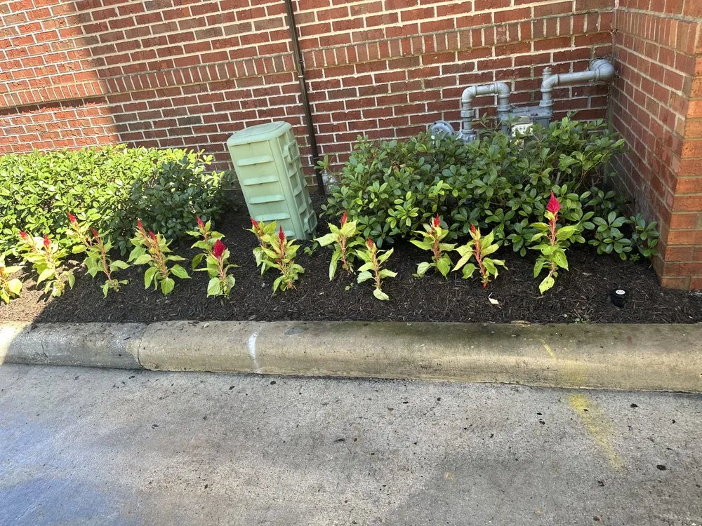 Custom lawn care service in Cypress, TX - Candlewood Landscaping Services