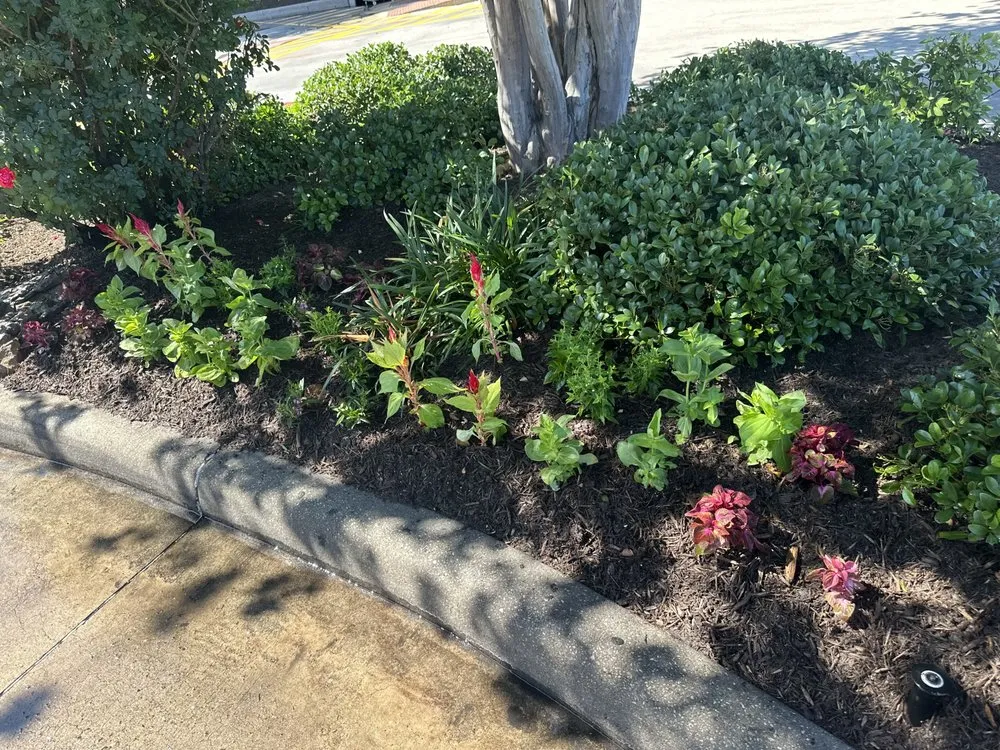 Custom yard maintenance in Cypress, TX - Candlewood Landscaping Services