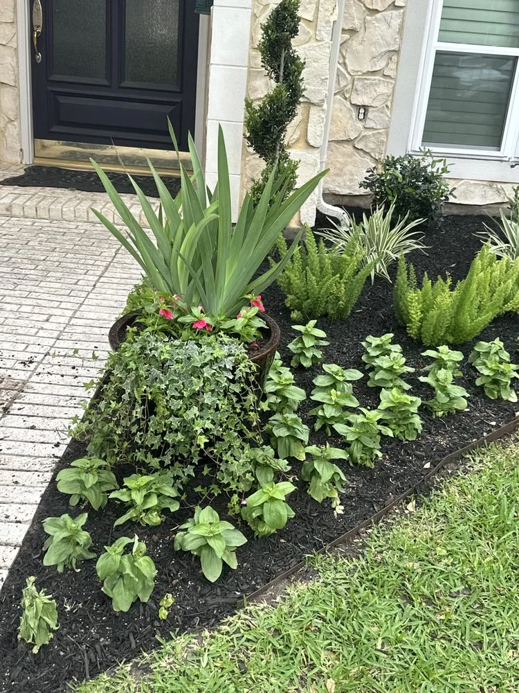 Trusted yard cleanup service for residential properties in Cypress, TX by Candlewood Landscaping Services