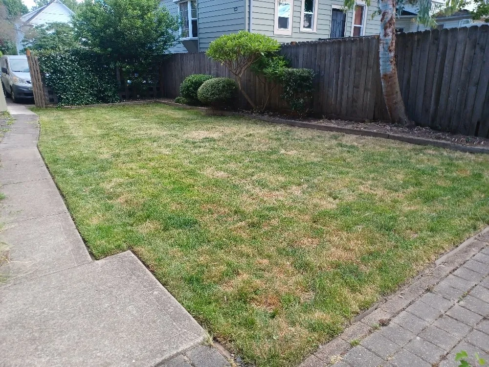 Trusted landscape design experts serving Portland, OR - CANDO LANDSCAPING