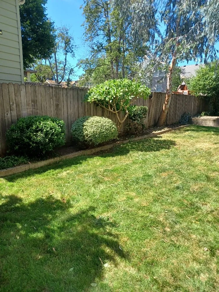 Affordable landscape design near you across Portland, OR - CANDO LANDSCAPING