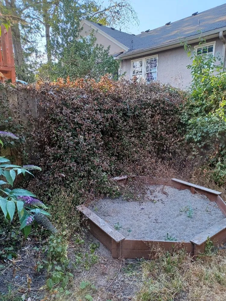 Expert yard maintenance experts serving Portland, OR - CANDO LANDSCAPING