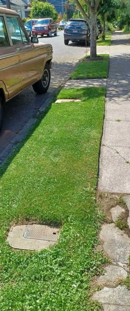 Expert yard maintenance in Portland, OR by CANDO LANDSCAPING