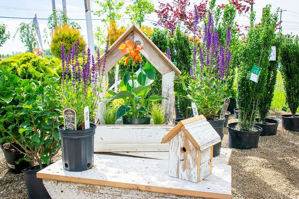 Top-rated lawn mowing service with custom design in Medina, OH by Candyapple Nursery & Landscaping