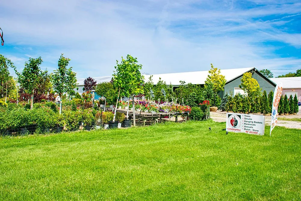 Expert outdoor landscaping in Medina, OH by Candyapple Nursery & Landscaping