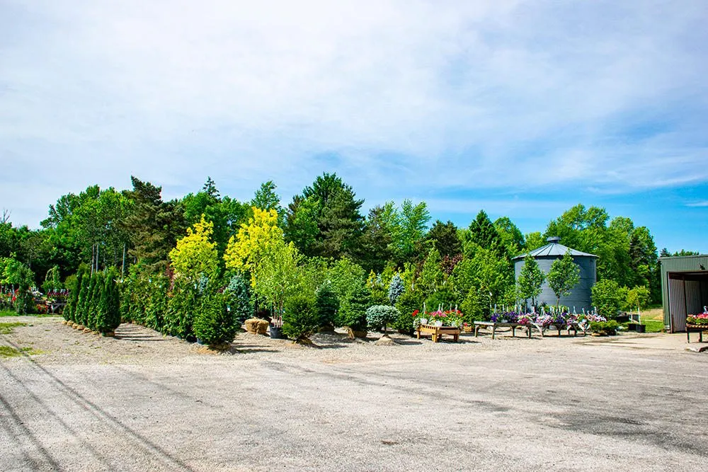 Top-rated landscape design for beautiful yards in Medina, OH by Candyapple Nursery & Landscaping