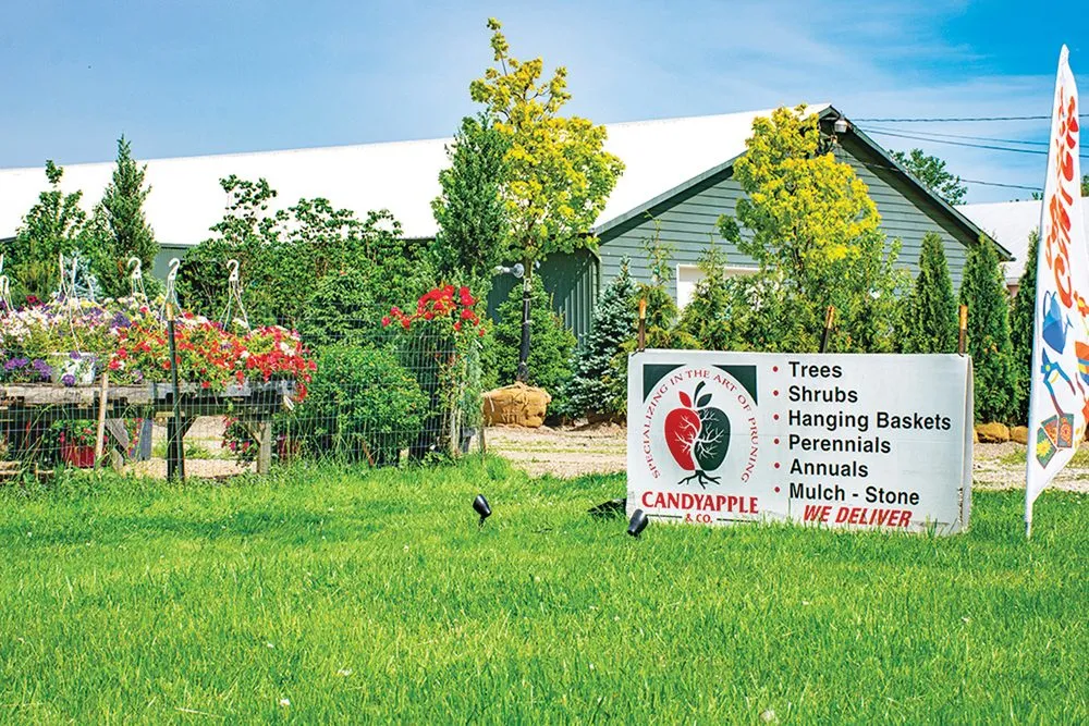 Top-rated outdoor landscaping in Medina, OH - Candyapple Nursery & Landscaping