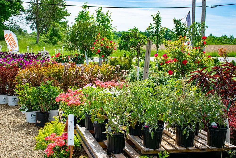 Expert landscaping services in Medina, OH - Candyapple Nursery & Landscaping
