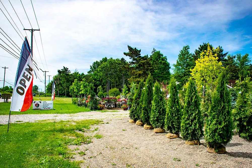 Reliable yard maintenance in Medina, OH - Candyapple Nursery & Landscaping