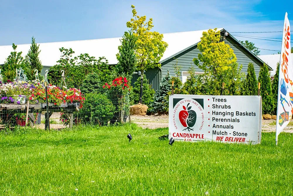 Top-rated yard cleanup service for homes in Medina, OH by Candyapple Nursery & Landscaping