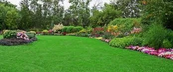 Reliable yard cleanup service in Summerville, SC - Cane Bay Landscaping