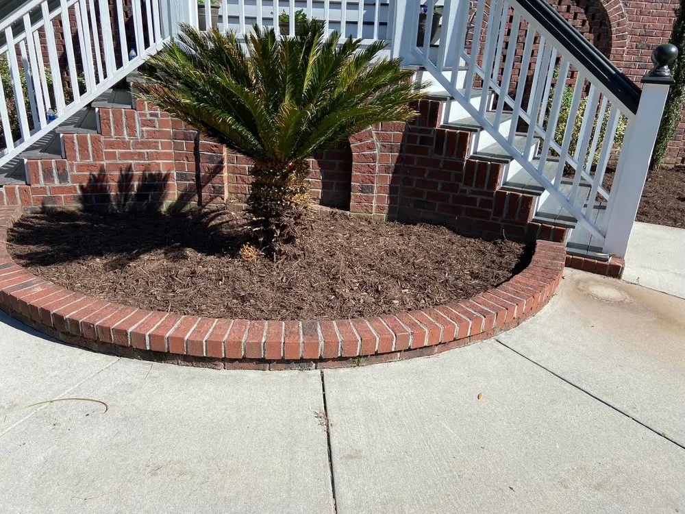 Expert yard cleanup service experts serving Summerville, SC - Cane Bay Landscaping