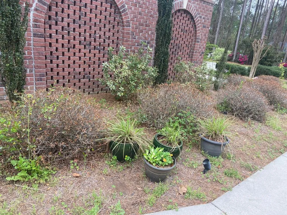 Reliable landscaping services in Summerville, SC - Cane Bay Landscaping