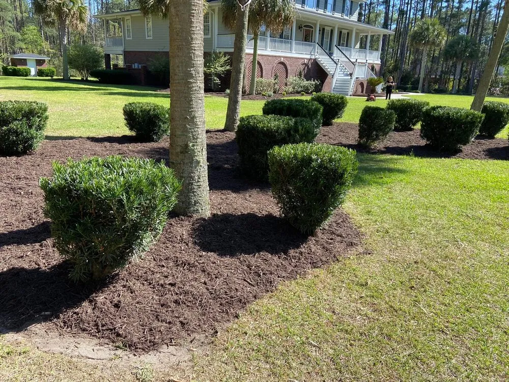 Professional landscaping services experts serving Summerville, SC - Cane Bay Landscaping