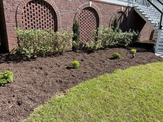 Cane Bay Landscaping Logo