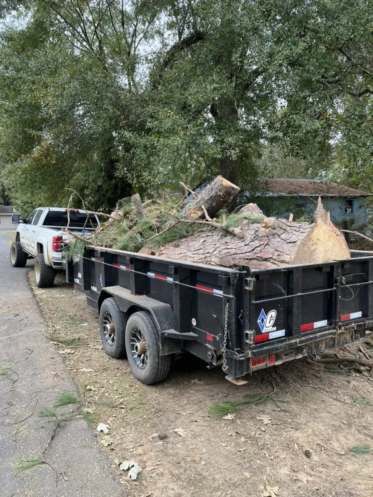 Professional landscaping services in Natchitoches, LA by Cane Creek Lawn Care