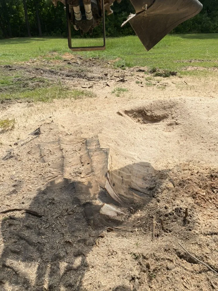 Custom residential landscaping for residential properties in Natchitoches, LA by Cane Creek Lawn Care