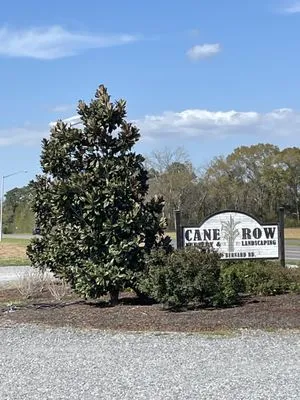 Cane Row Nursery and landscaping