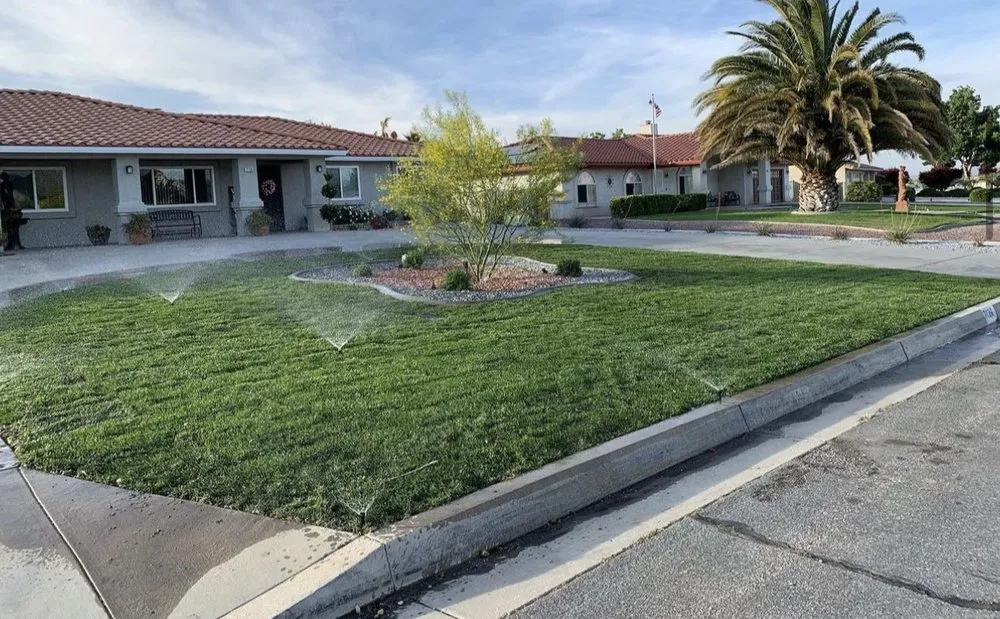 Local lawn care service in Hesperia, CA - Canelo R Bobcat Work