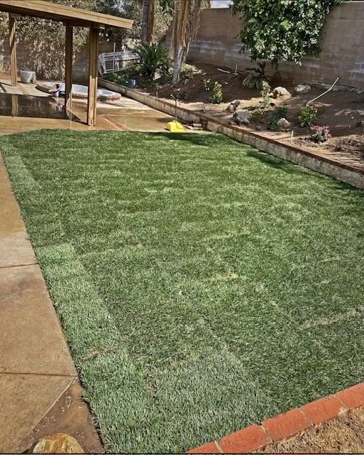 Expert landscape design in Hesperia, CA - Canelo R Bobcat Work