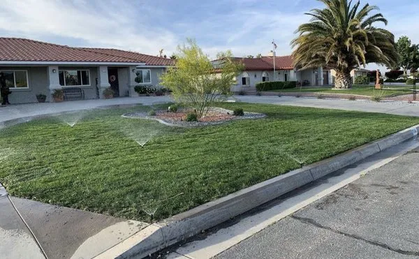 Canelo R Bobcat Work Logo