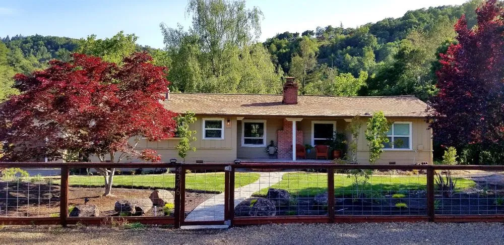 Local yard cleanup service experts serving Windsor, CA - Canepa Landscaping