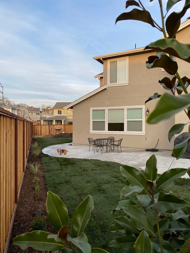 Trusted yard cleanup service in Windsor, CA by Canepa Landscaping