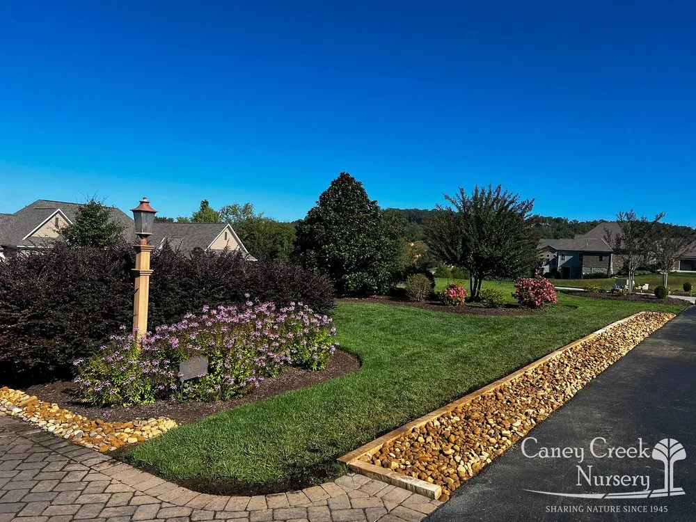 Professional landscape installation in Rockwood, TN by Caney Creek Nursery